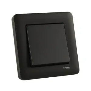 Strömbrytare EXXACT Trapp/1P Antracit 5-p