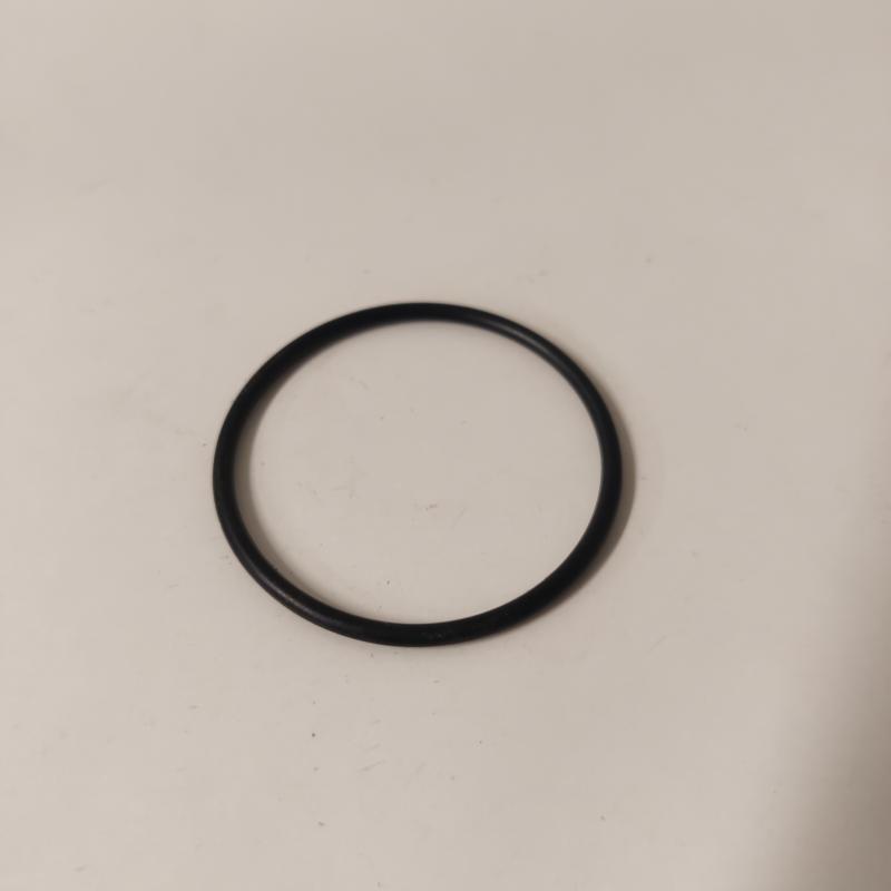 Oring Polaris