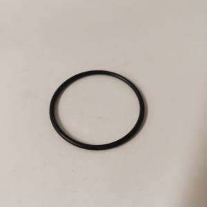 Oring Polaris