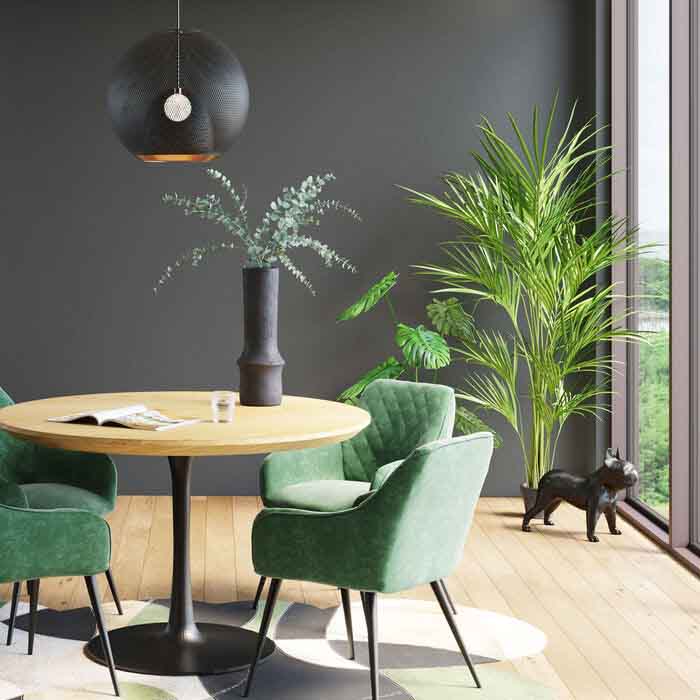 Inredningsbild meed 190cm hög palm mot en mörkgrå vägg med bord och stolar i förgrunden