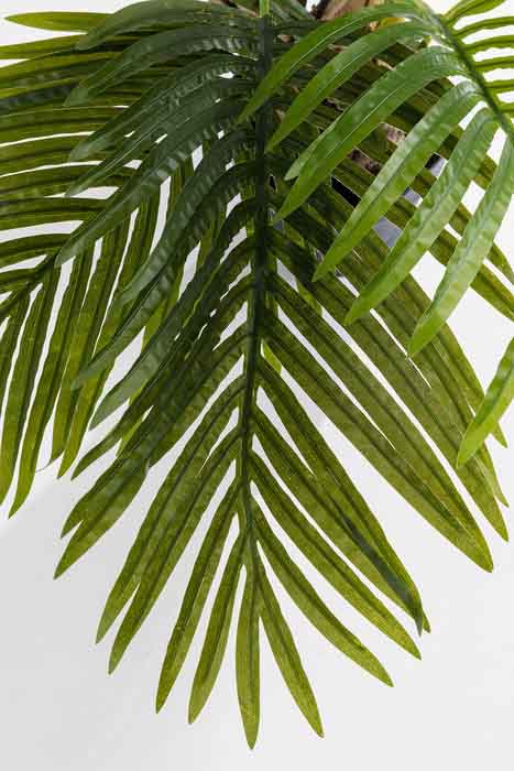 Närbild på palmblad på konstväxt