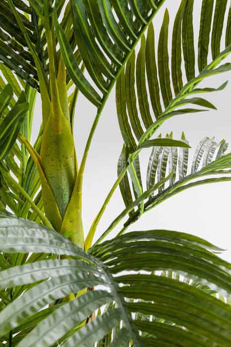 Närbild på palmblad av konstväxt