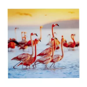 Glastavla Flamingo Familj, 80x80cm