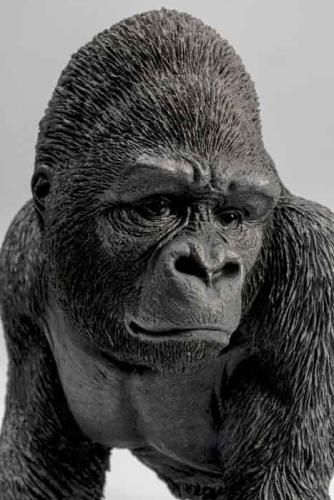 Bokstöd Gorilla