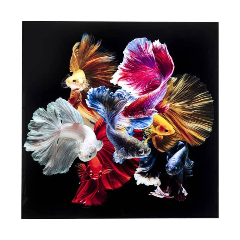 Glastavla Svärmfiskar, 120x120cm