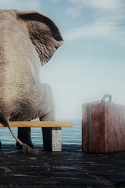 Tavla Resande Elefant - 60x40cm