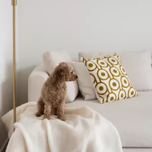 Prydnadskudde broderad cirkel 50x50 cm