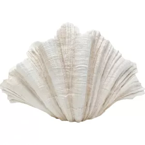 Dekor Vas Concha, 57cm