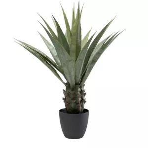 Konstväxt Mexiko - Agave 85cm