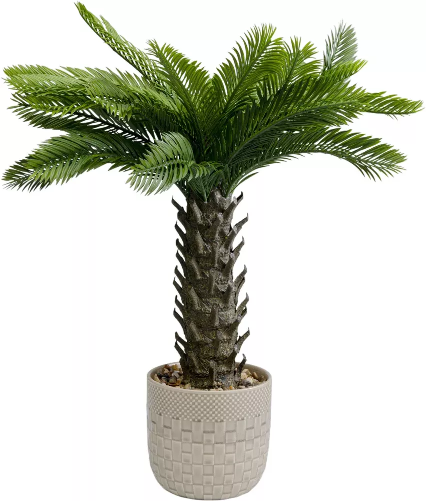 Konstväxt Cycas grön, 70 cm