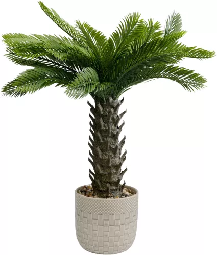 Konstväxt Cycas grön, 70 cm