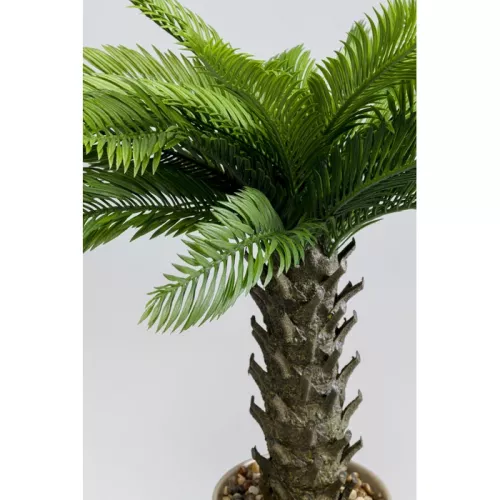 Konstväxt Cycas grön, 70 cm