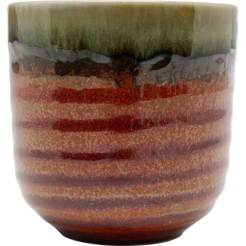 Mugg Ari