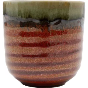 Mugg Ari