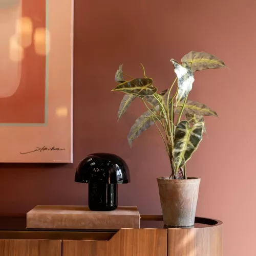 Bordslampa Mushroom – Svart, 20cm