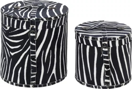 Förvaringslådor Wild Animal Zebra, 2 delar