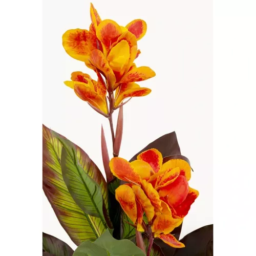 Konstväxt Canna Lily, 115 cm