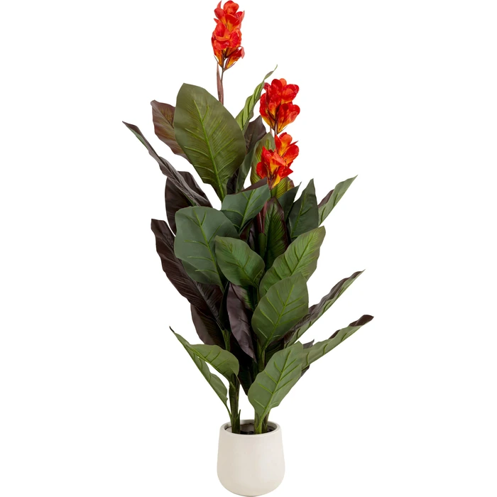 Konstväxt Canna Lily, 165 cm