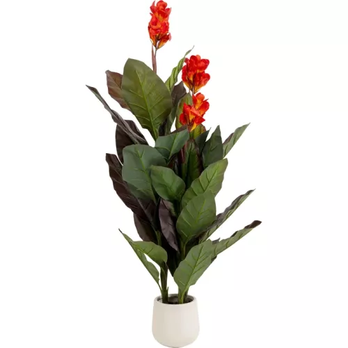 Konstväxt Canna Lily, 165 cm