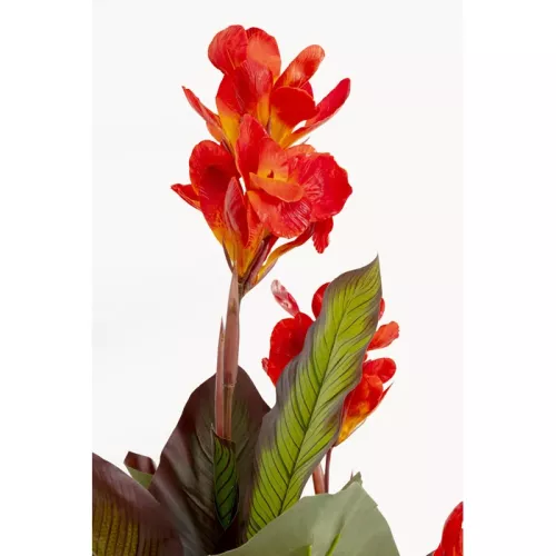 Konstväxt Canna Lily, 165 cm