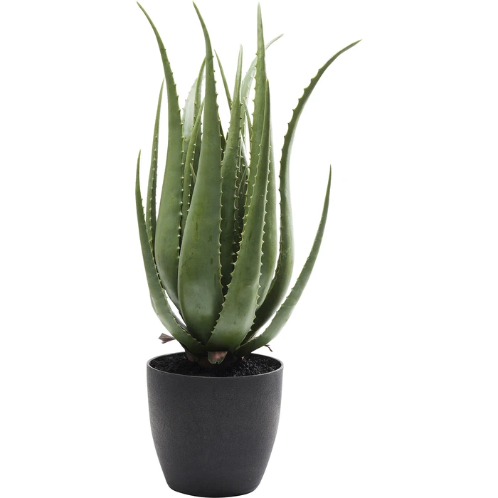 Konstväxt Aloe grön, 69 cm