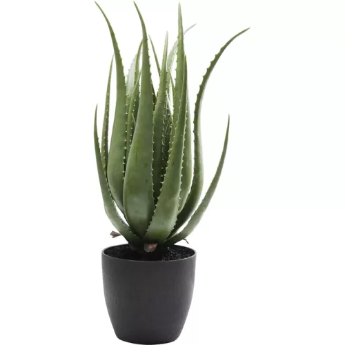 Konstväxt Aloe grön, 69 cm