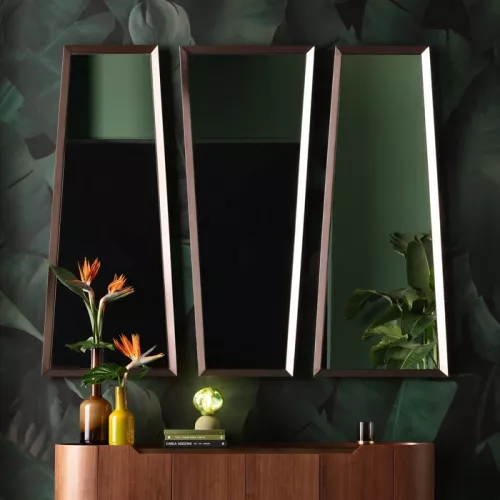 Spegel rektangulär brun 65x160 cm