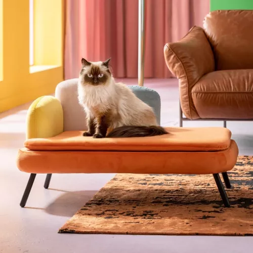 Hund- och kattbädd Diva orange, Flerfärgad/Orange, mått 47 x 84.5 x 54 cm, placerad i rumsmiljö