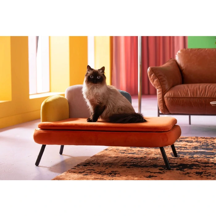 Hund- och kattbädd Diva orange, Flerfärgad/Orange, mått 47 x 84.5 x 54 cm, placerad i rumsmiljö