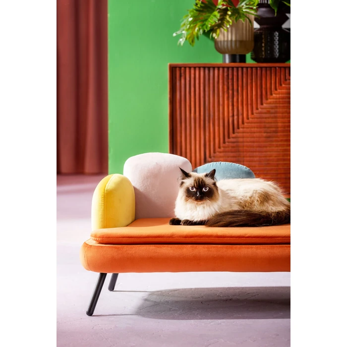Hund- och kattbädd Diva orange, Flerfärgad/Orange, mått 47 x 84.5 x 54 cm, placerad i rumsmiljö