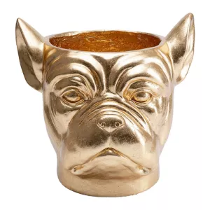 Kruka Bulldog, Guld