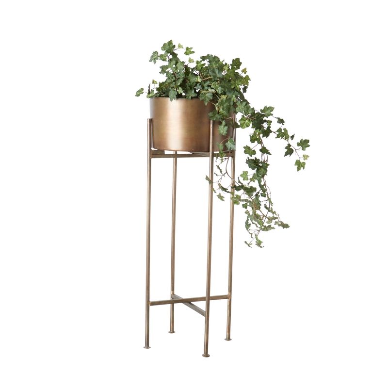 Blomställning inomhus Blomställning inomhus