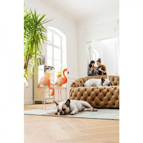 Schäslong Darling Diva