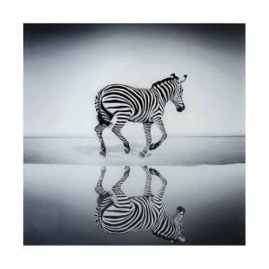 Glastavla Zebra, 120x120 cm