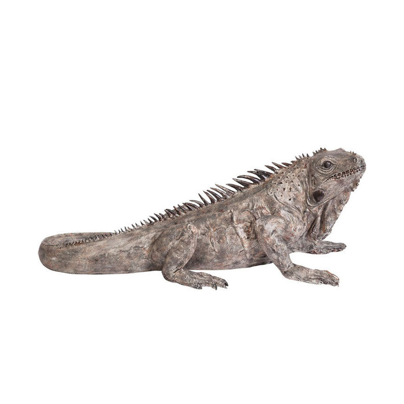 Dekor Iguana XL 135 cm