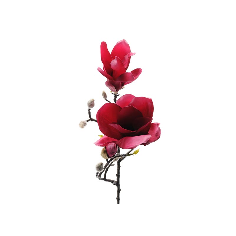 Kvist Magnolia Röd, 60 cm