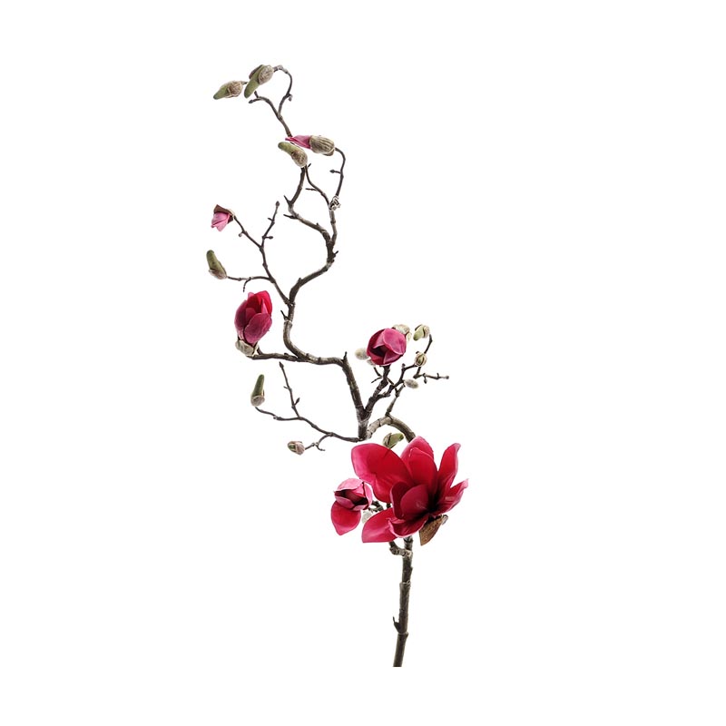 Kvist Magnolia Röd, 135 cm