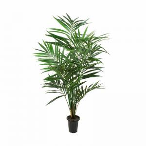 Konstväxt Palm, Kentia 120 cm