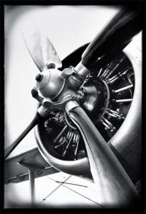 DECO Fototapet 2,32 x 1,58 m