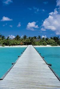 DECO Fototapet 2,32 x 1,58 m