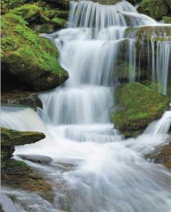 DECO Fototapet 2,32 x 1,58 m