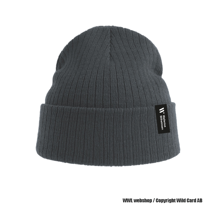 Beanie hat