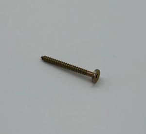 Skruv till låsbleck 4,8x50 mm, gängad yta 40 mm - 1 st