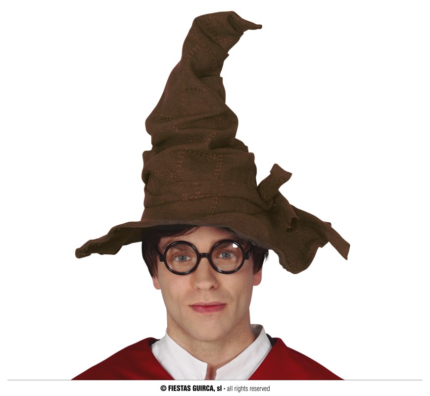 Harry Potter Sorting Hatt