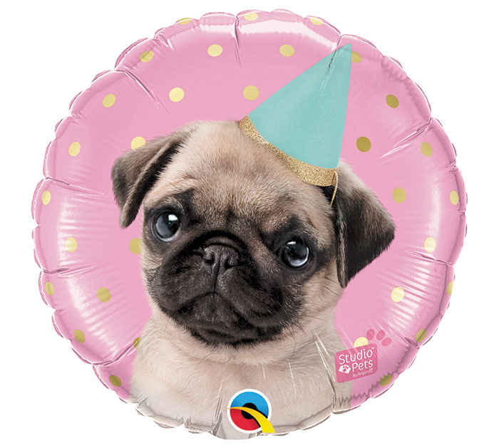 Cirkel Party Pug folieballong