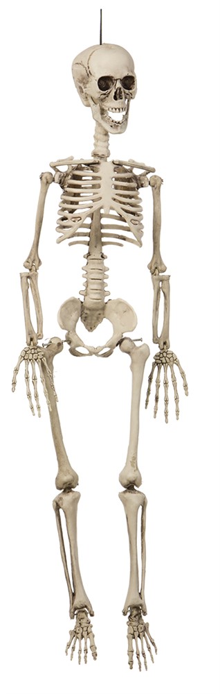Hängande Skelett Dekoration 90cm
