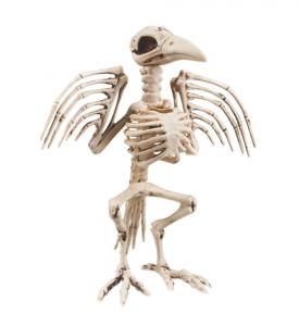 Fågel Skelett Dekoration 32cm