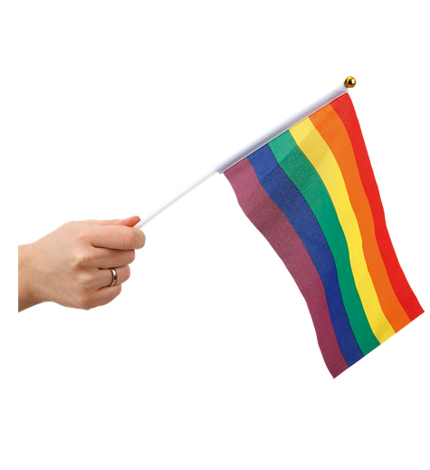 Flagga på Pinne Regnbågsfärgad 6-pack