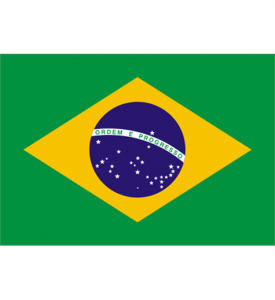 Liten Flagga brasilien
