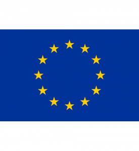Liten Flagga EU